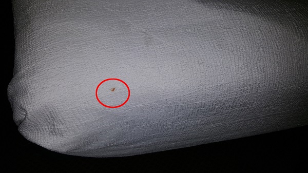 More dirty stain on bed cover